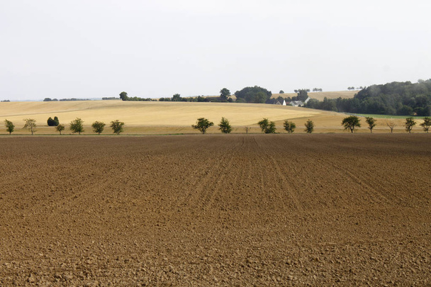 Landwirtschaft Produktion Landschaft - Fotoğraf, Görsel