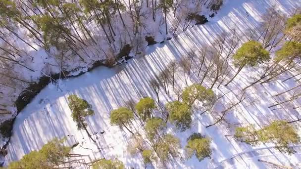  4k εναέρια. Πετούν με περιβάλει γύρω από χειμερινό πάρκο, ξύλο με παγωμένο ποτάμι. Το Top view - Πλάνα, βίντεο