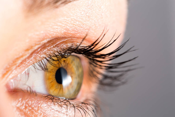 Vrouw oog met lange wimpers - Foto, afbeelding
