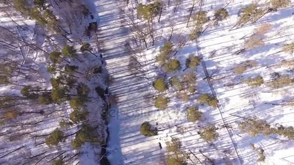   4k luchtfoto. Vliegen met het cirkelen en omhoog rond winter hout met bevroren rivier. Bovenaanzicht - Video