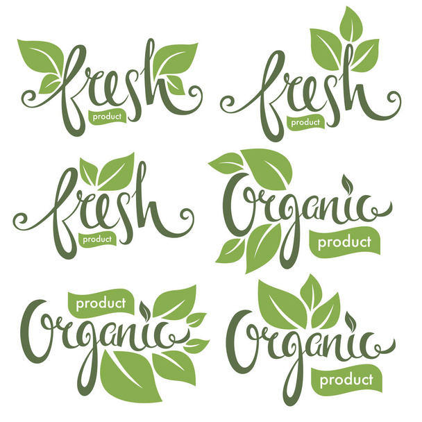 organické a čerstvé, ručně kreslenou nápis složení s zelený l - Vektor, obrázek