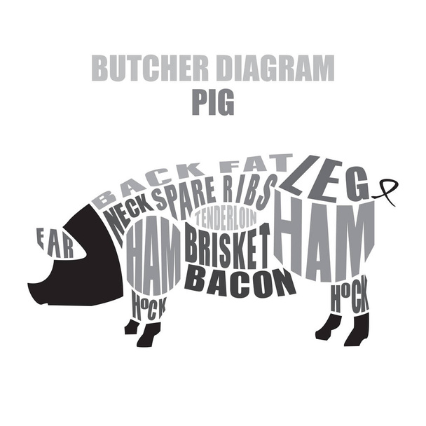 Diagrama de carne de cerdo. Cortes de cerdo
 - Vector, imagen