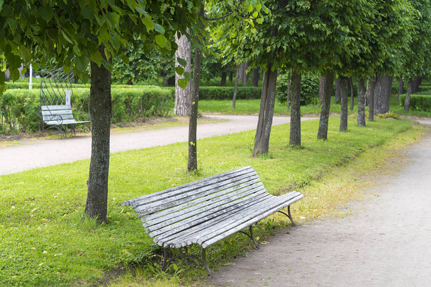  Bench in the Park. - Foto, Bild