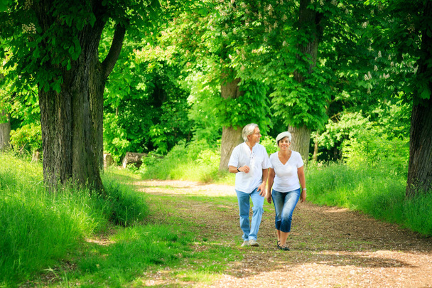 Senior Couple Taking A Walk - Фото, зображення
