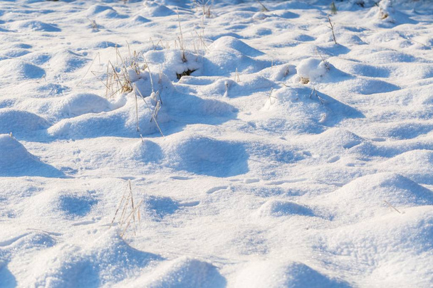 Fondo de nieve de invierno con plantas cubiertas de nieve
 - Foto, Imagen