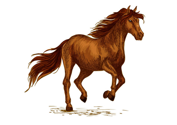 Кінь біжить на спортивних гонках Векторний ескіз
 - Вектор, зображення