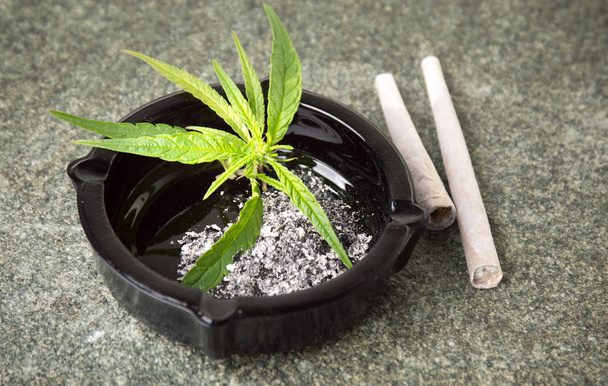 Gewrichten met marihuana bladeren en asbak - Foto, afbeelding