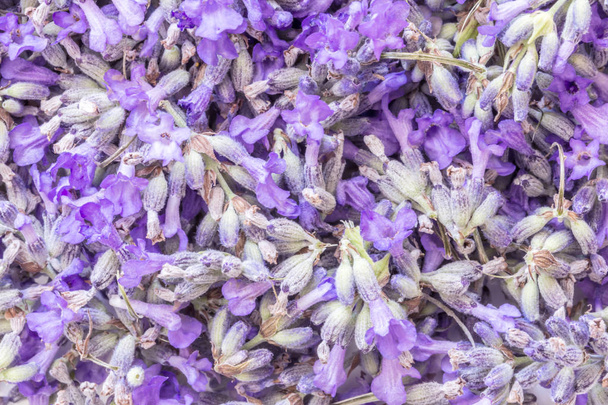 Levendula Virágok háttér - Fotó, kép