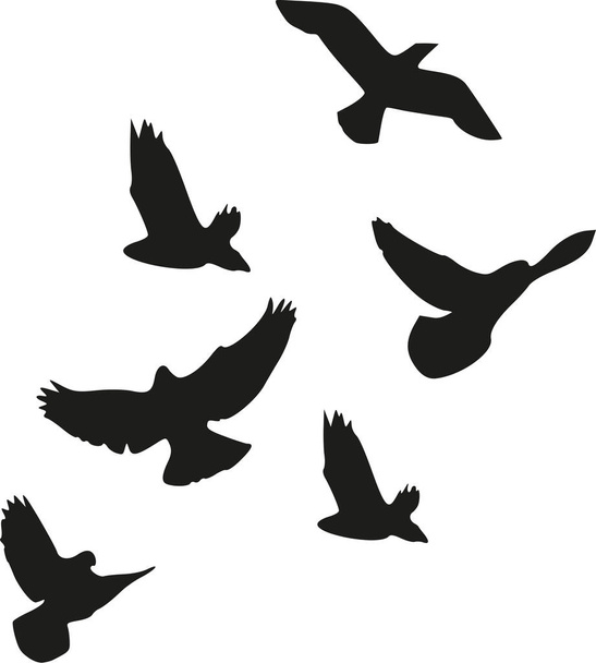 Flock of birds - Вектор, зображення