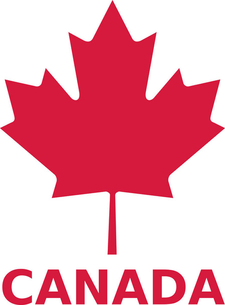 Maple leaf with canada word - Vector, Image