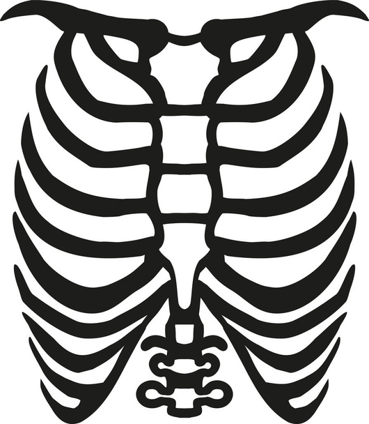 Human ribcage vector - Vektör, Görsel