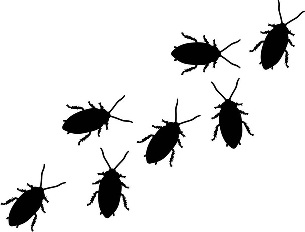 Grupo de cucarachas
 - Vector, imagen