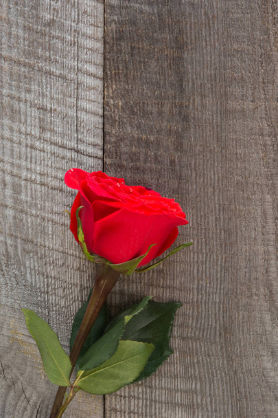 Tarjeta de San Valentín. Rosas rojas en primer plano de mesa de madera. Vista superior
. - Foto, imagen