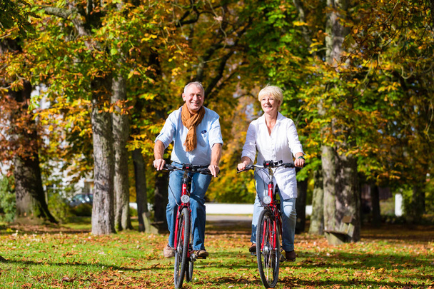 Senioren op fietsen met tour in park - Foto, afbeelding