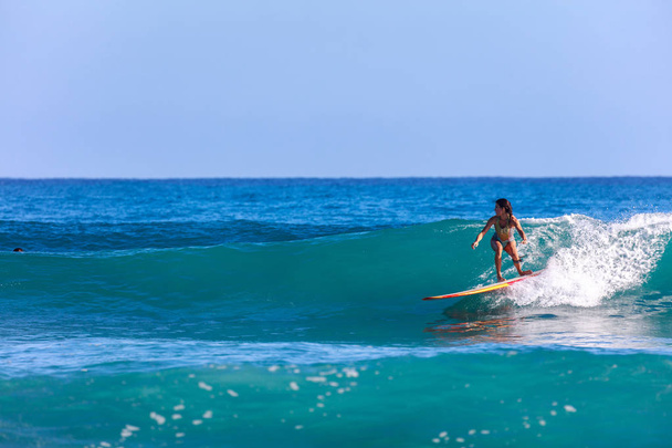 Surfer girl on Amazing Blue Wave. Water sport activity, Atlantic Ocean Dominican Republic. 29.12.2016. - Foto, afbeelding