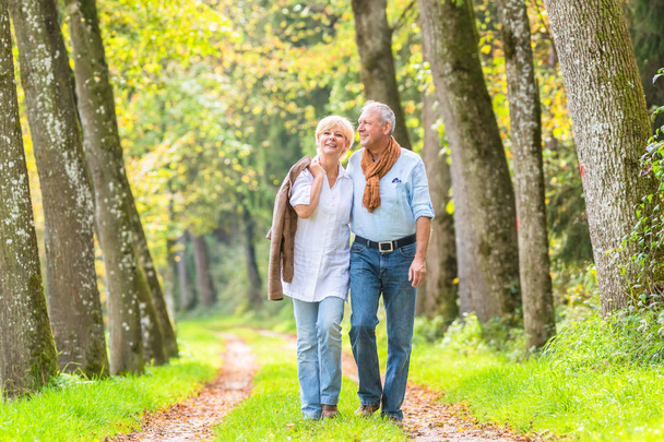 Senior couple having leisure walk in woods - Photo, Image