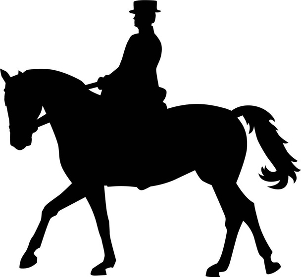 Drezura koní jezdec - Vektor, obrázek