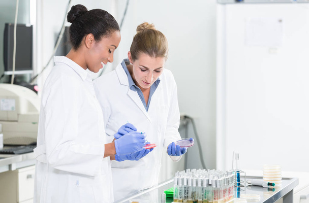 Women in research laboratory - Foto, immagini