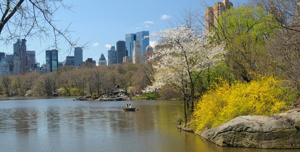 Central Park, New York - Foto, afbeelding