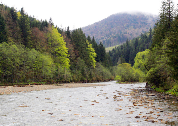 bergrivier in het Karpaten gebergte - Foto, afbeelding