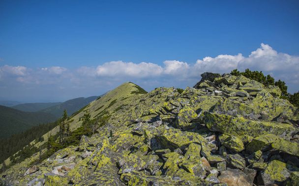 Gorgany-hegy - Fotó, kép