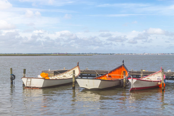Barcos anclados en el lago Lagoa do Patos
 - Foto, imagen
