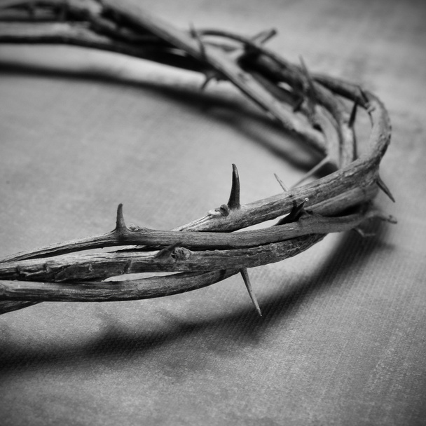 Jeesus Kristus orjantappurakruunu
 - Valokuva, kuva