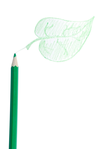 Green pencil, the leaf - Fotografie, Obrázek