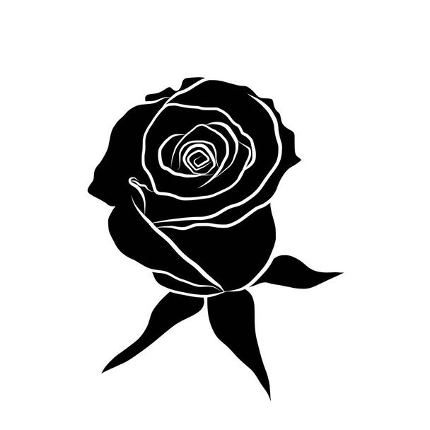 růže siluety ilustrace izolované na bílém pozadí - Vektor, obrázek