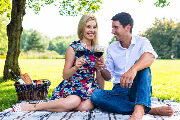 Piknik zekâ kırmızı şarap çayır üzerinde sahip çift - Fotoğraf, Görsel