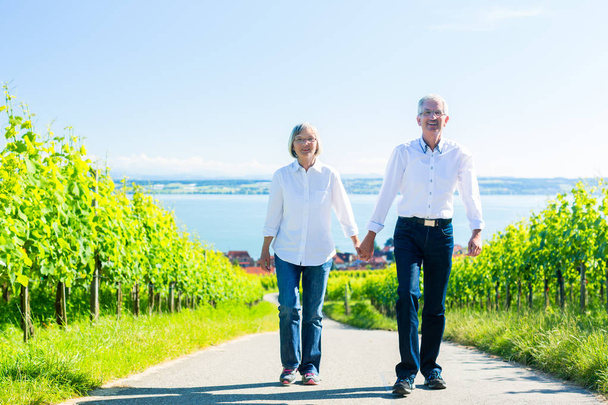 Seniorenpaar beim Spaziergang im Weinberg - Foto, Bild