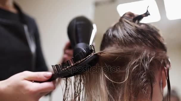 Kadeřník schne ženách vlasy po umytí, žena dělá nový účes v studio krásy, zdraví a kosmetika - Záběry, video