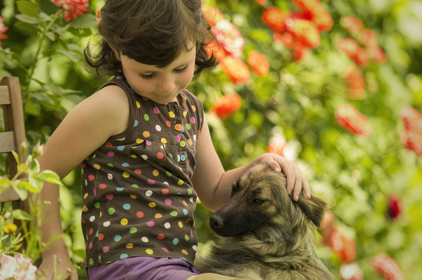 Quatro anos de idade menina brincando com cachorro no jardim
 - Foto, Imagem
