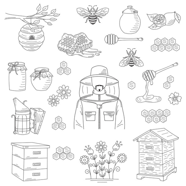 Vector honey collection with beekeeping elements - Vector, Image