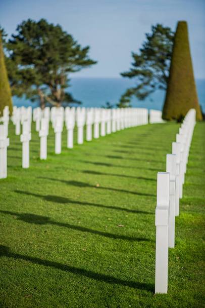 Białe krzyże w American Cemetery, Omaha Beach, Normandii, Frank - Zdjęcie, obraz