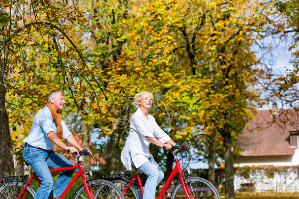 Senioren op fietsen met tour in park - Foto, afbeelding