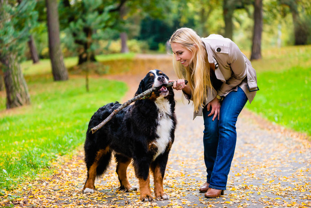 Mujer y perro en la recuperación de palo juego
 - Foto, imagen