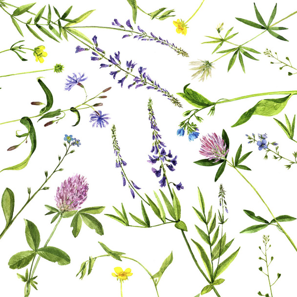 Watercolor drawing plants - Фото, изображение