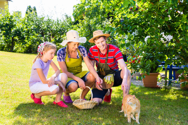 Family with cat in garden - Photo, Image