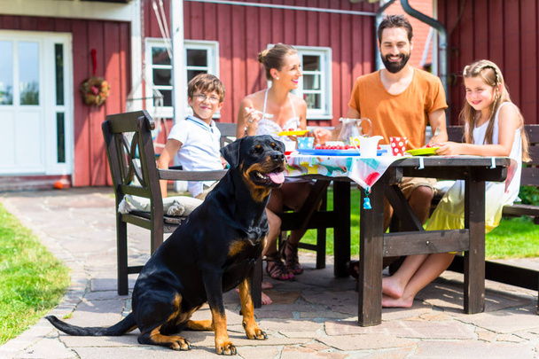 Family with dog eating in garden  - Foto, afbeelding