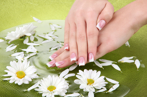 Woman hands with french manicure and flowers in green bowl with water - Fotoğraf, Görsel