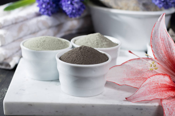 Ancient minerals - luxury face and body spa treatment, clay powder and mask , green, blue and black clay - Foto, immagini