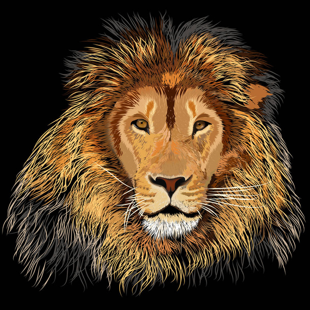 Black Lion głowy - Wektor, obraz