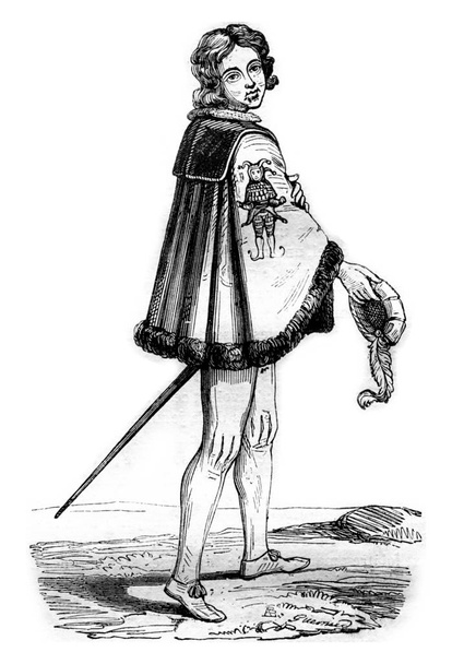 Knight of the Order of Fools, has Cleves, vintage engraving. - Photo, Image