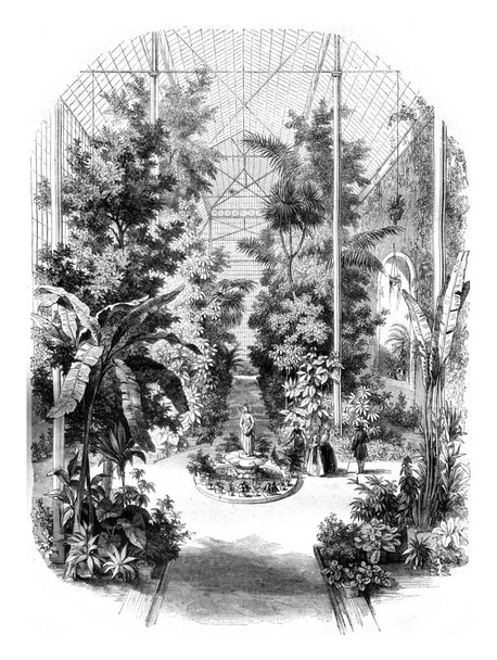Vista tomada en los invernaderos del Jardín des Plantes de París
 - Foto, Imagen