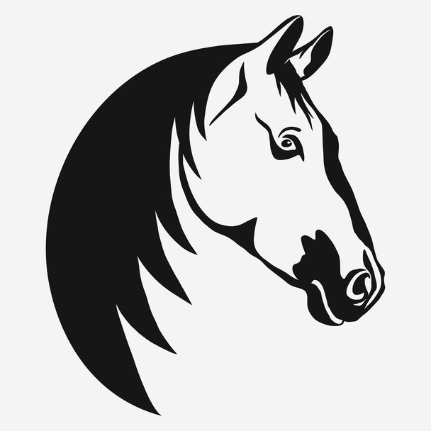 Horse head vector - Vettoriali, immagini