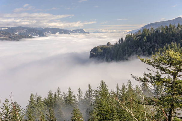 Mist in de vallei van de Columbia River Gorge, Oregon. - Foto, afbeelding