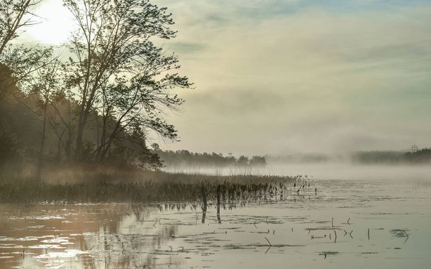 Яркий рассвет туманным, туманным летним утром на озере Корри
. - Фото, изображение