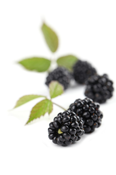 Blackberries - Fotografie, Obrázek