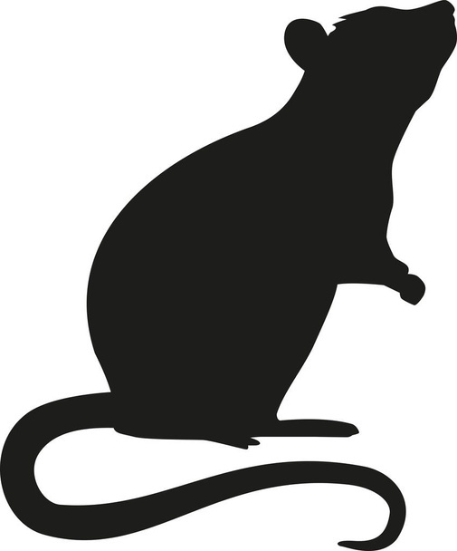Stehende Rattensilhouette - Vektor, Bild